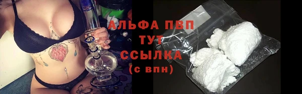 спайс Гусев