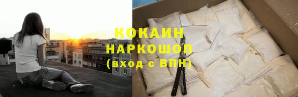 спайс Гусев