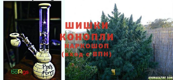 спайс Гусев