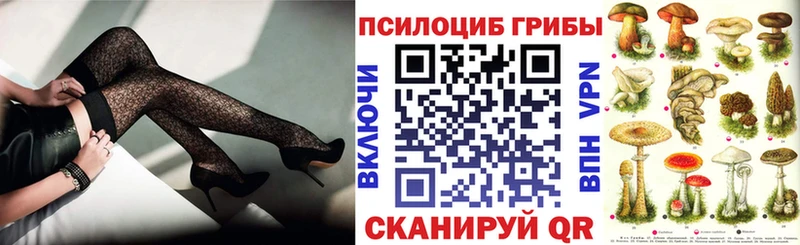 Галлюциногенные грибы Psilocybine cubensis  Магас 