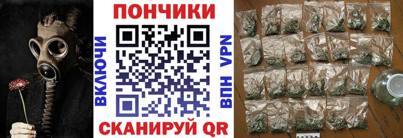 продажа наркотиков  Магас  Шишки марихуана индика 